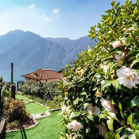 Apartment Ondina